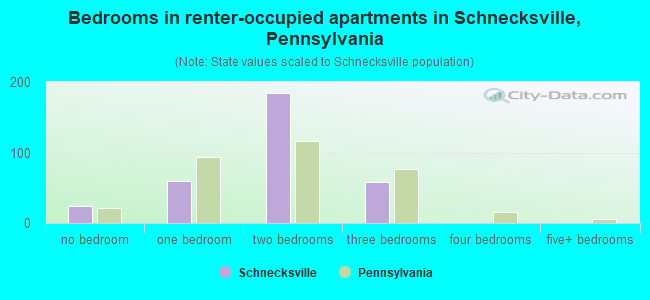 Bedrooms in renter-occupied apartments in Schnecksville, Pennsylvania