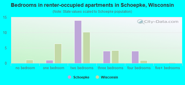 Bedrooms in renter-occupied apartments in Schoepke, Wisconsin