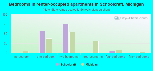 Bedrooms in renter-occupied apartments in Schoolcraft, Michigan