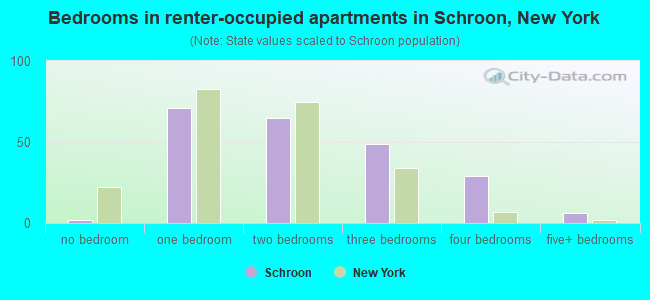 Bedrooms in renter-occupied apartments in Schroon, New York