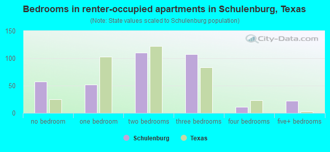 Bedrooms in renter-occupied apartments in Schulenburg, Texas