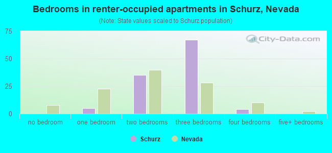 Bedrooms in renter-occupied apartments in Schurz, Nevada