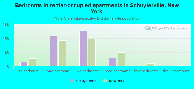 Bedrooms in renter-occupied apartments in Schuylerville, New York