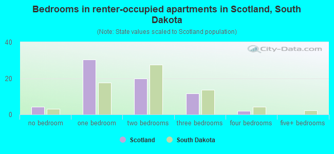Bedrooms in renter-occupied apartments in Scotland, South Dakota