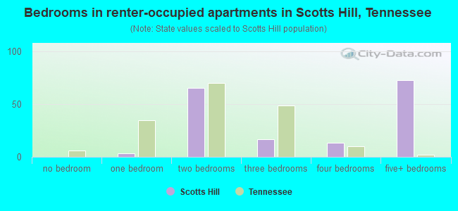 Bedrooms in renter-occupied apartments in Scotts Hill, Tennessee