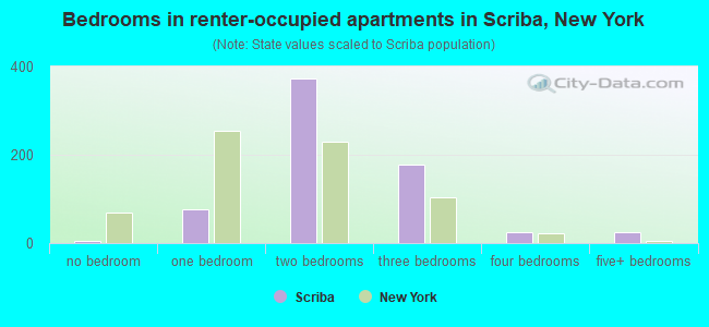 Bedrooms in renter-occupied apartments in Scriba, New York