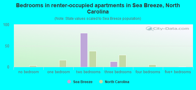 Bedrooms in renter-occupied apartments in Sea Breeze, North Carolina