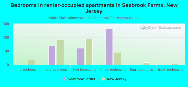Bedrooms in renter-occupied apartments in Seabrook Farms, New Jersey