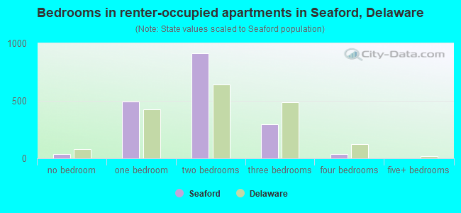 Bedrooms in renter-occupied apartments in Seaford, Delaware