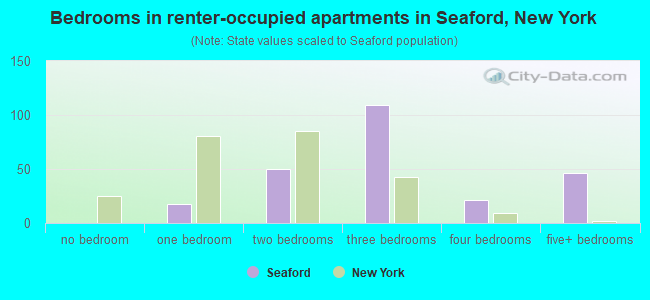 Bedrooms in renter-occupied apartments in Seaford, New York