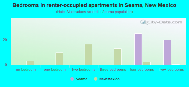 Bedrooms in renter-occupied apartments in Seama, New Mexico