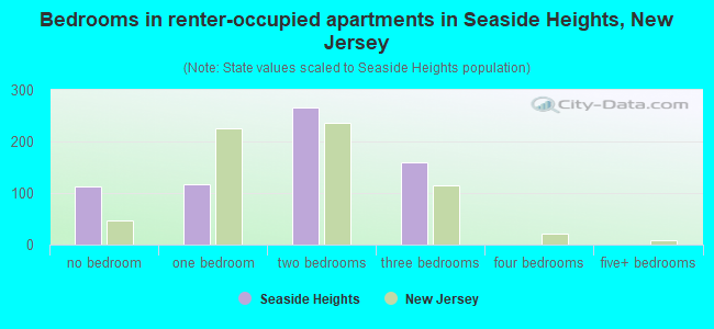 Bedrooms in renter-occupied apartments in Seaside Heights, New Jersey