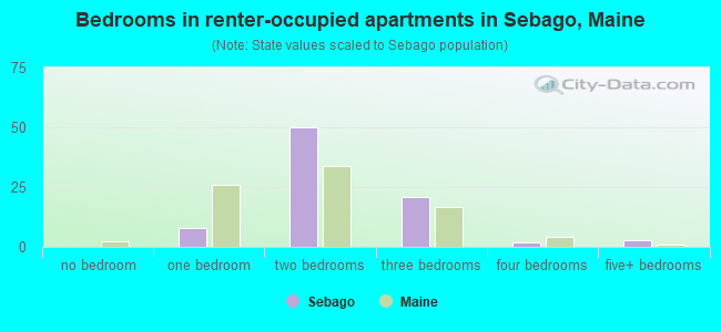 Bedrooms in renter-occupied apartments in Sebago, Maine