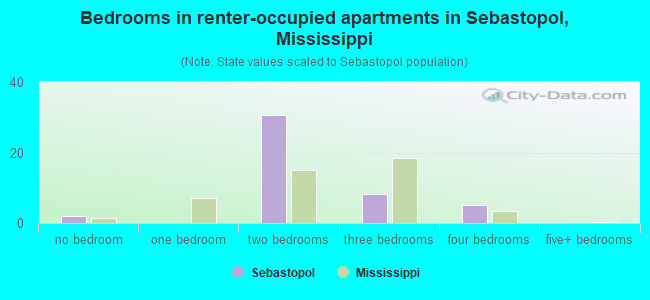 Bedrooms in renter-occupied apartments in Sebastopol, Mississippi