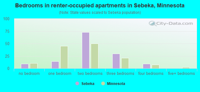 Bedrooms in renter-occupied apartments in Sebeka, Minnesota
