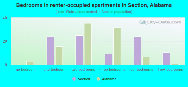 Bedrooms in renter-occupied apartments in Section, Alabama