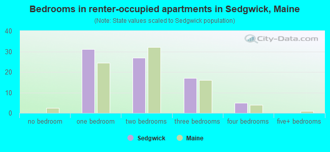 Bedrooms in renter-occupied apartments in Sedgwick, Maine