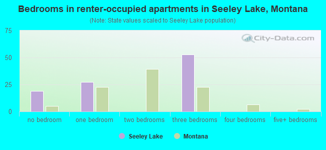 Bedrooms in renter-occupied apartments in Seeley Lake, Montana