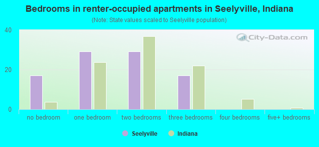 Bedrooms in renter-occupied apartments in Seelyville, Indiana