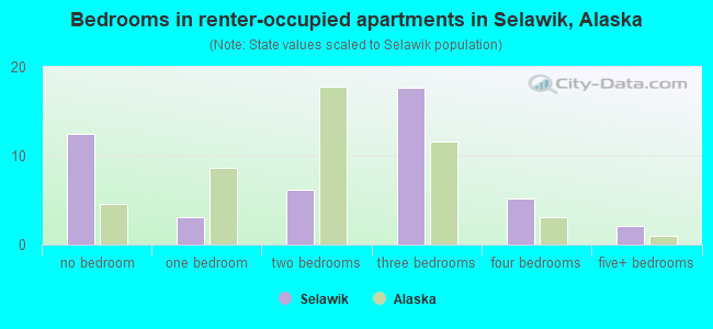 Bedrooms in renter-occupied apartments in Selawik, Alaska