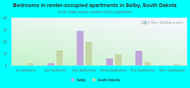 Bedrooms in renter-occupied apartments in Selby, South Dakota