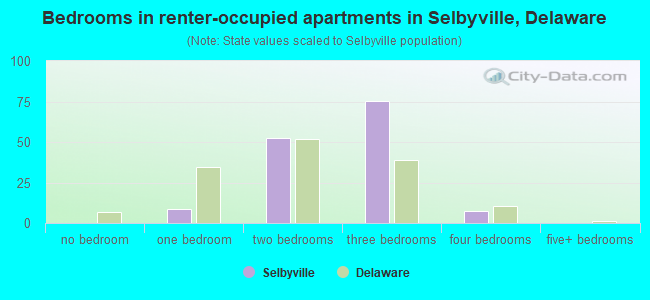 Bedrooms in renter-occupied apartments in Selbyville, Delaware