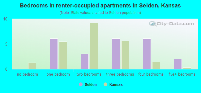 Bedrooms in renter-occupied apartments in Selden, Kansas