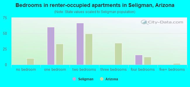 Bedrooms in renter-occupied apartments in Seligman, Arizona