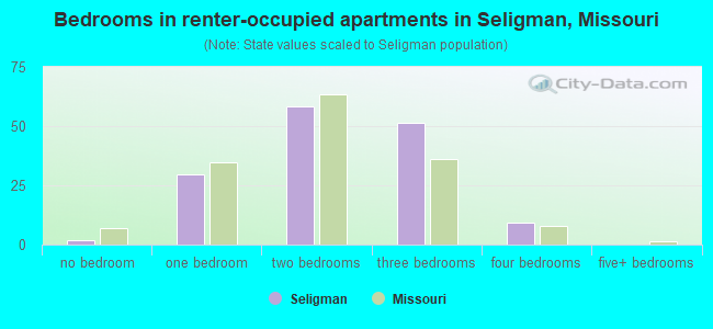 Bedrooms in renter-occupied apartments in Seligman, Missouri