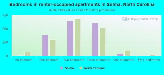 Bedrooms in renter-occupied apartments in Selma, North Carolina