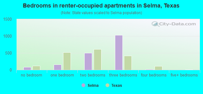 Bedrooms in renter-occupied apartments in Selma, Texas
