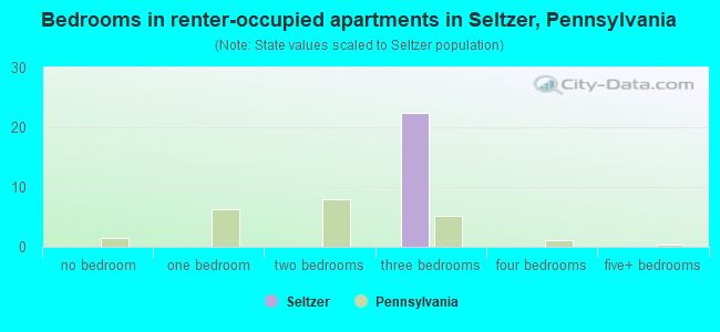 Bedrooms in renter-occupied apartments in Seltzer, Pennsylvania