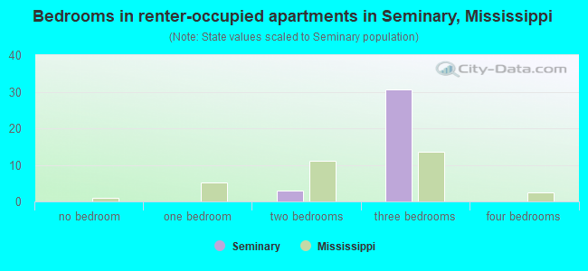 Bedrooms in renter-occupied apartments in Seminary, Mississippi
