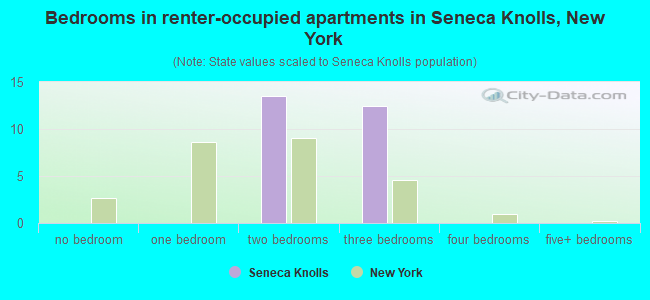 Bedrooms in renter-occupied apartments in Seneca Knolls, New York