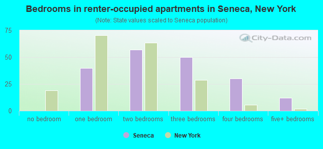 Bedrooms in renter-occupied apartments in Seneca, New York