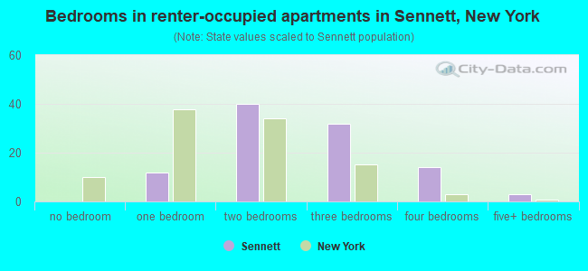 Bedrooms in renter-occupied apartments in Sennett, New York