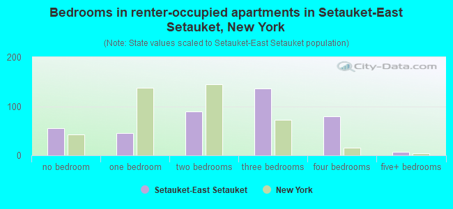 Bedrooms in renter-occupied apartments in Setauket-East Setauket, New York