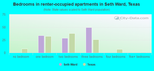 Bedrooms in renter-occupied apartments in Seth Ward, Texas