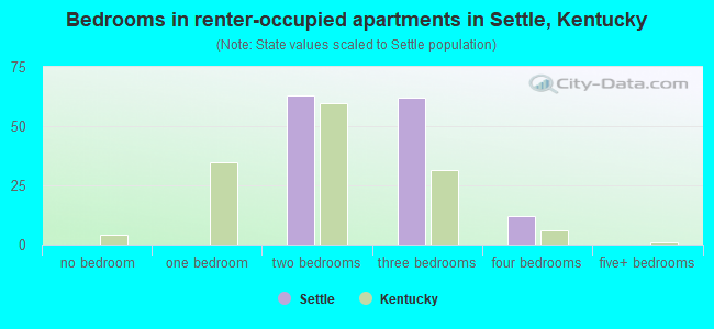 Bedrooms in renter-occupied apartments in Settle, Kentucky