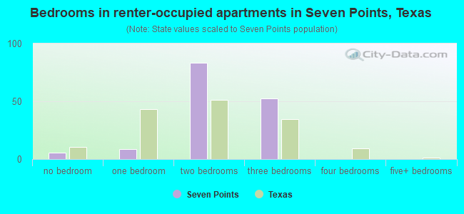 Bedrooms in renter-occupied apartments in Seven Points, Texas