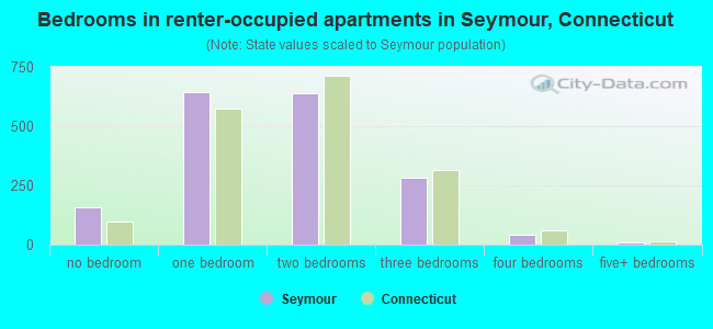 Bedrooms in renter-occupied apartments in Seymour, Connecticut