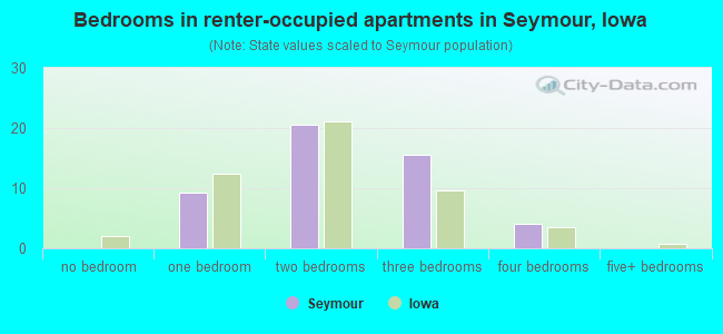 Bedrooms in renter-occupied apartments in Seymour, Iowa