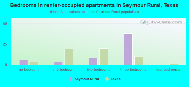 Bedrooms in renter-occupied apartments in Seymour Rural, Texas