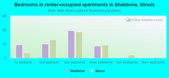 Bedrooms in renter-occupied apartments in Shabbona, Illinois