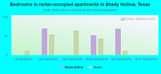 Bedrooms in renter-occupied apartments in Shady Hollow, Texas