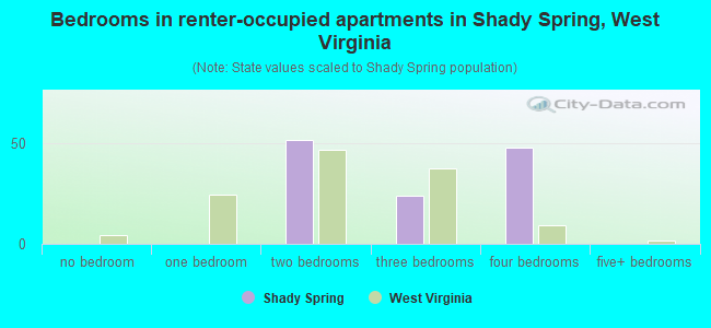 Bedrooms in renter-occupied apartments in Shady Spring, West Virginia