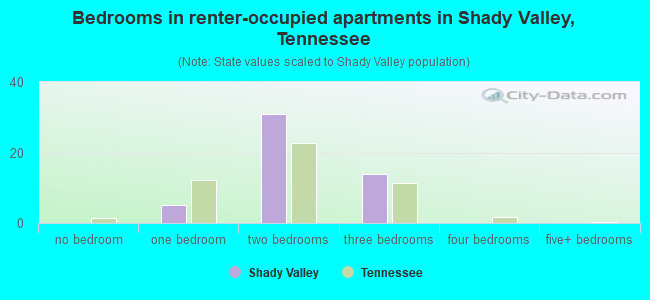 Bedrooms in renter-occupied apartments in Shady Valley, Tennessee