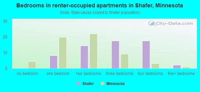 Bedrooms in renter-occupied apartments in Shafer, Minnesota