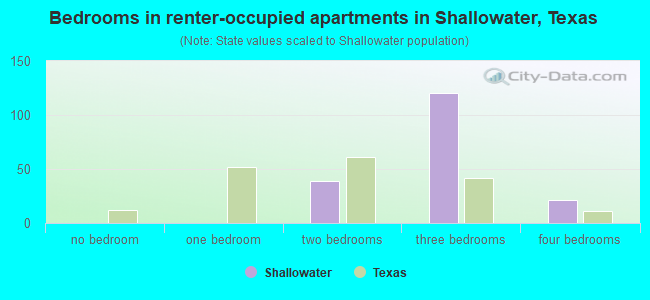 Bedrooms in renter-occupied apartments in Shallowater, Texas