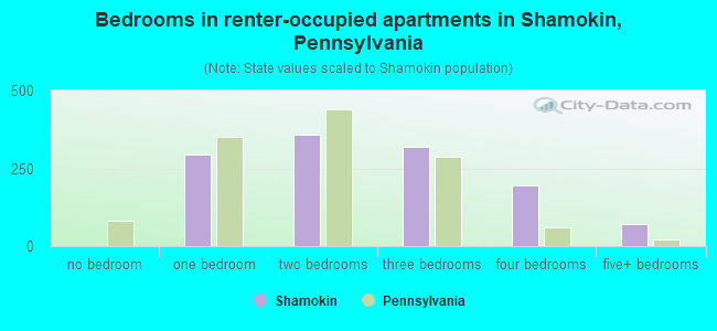 Bedrooms in renter-occupied apartments in Shamokin, Pennsylvania